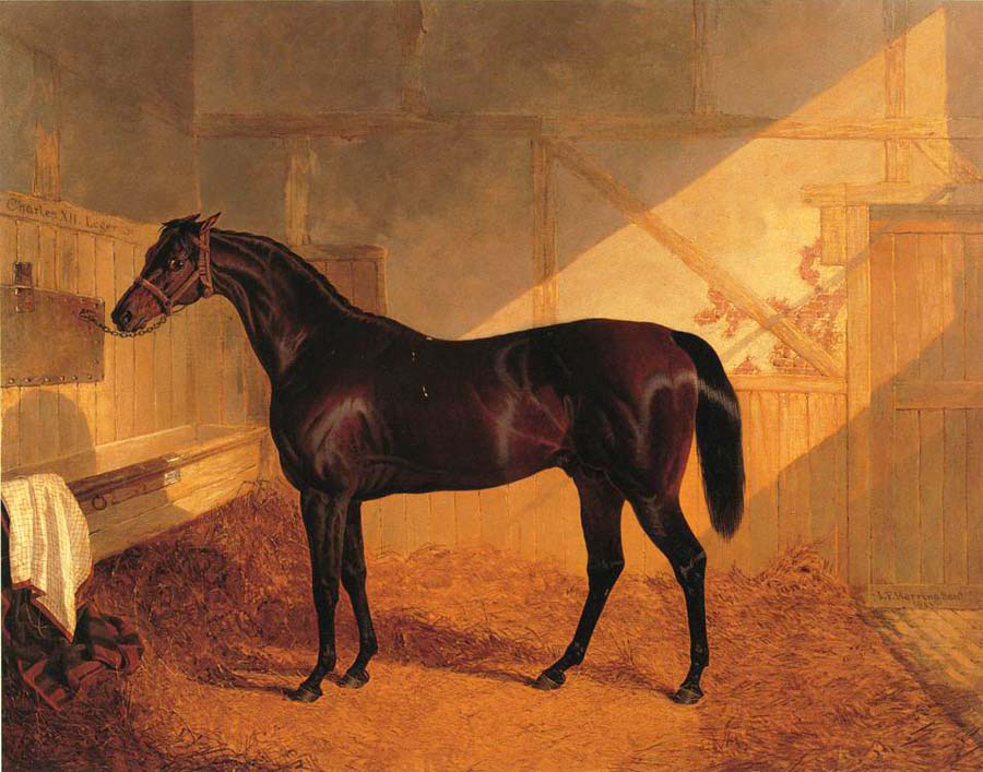 mr johnstone s charles twelve in a stable